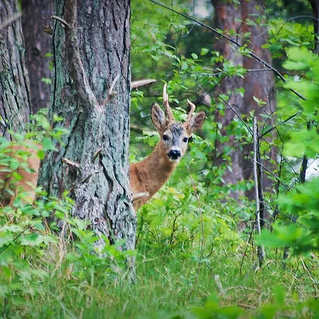 Hotel Upstalsboom Strandidyll
